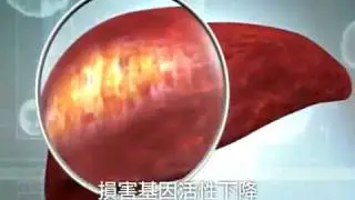 ageLOC科技影片_2010最新中文版