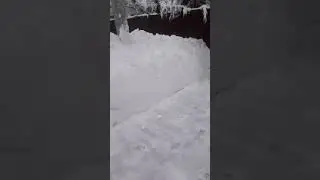 Снегопад 04.02.2018