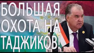 "Охота" на мигрантов. В России проходит операция "Нелегал-2023"