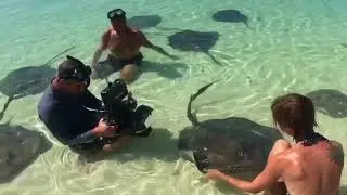 Stingray Snorkel: Grand Bahama Island