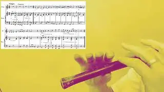 И.Станкевич «Этюд 12» на блок флейте