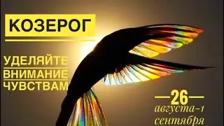 Козерог ♑️ 26 августа-1 сентября 2024 года 🙏✨🍀💐☀️🗝Таро Ленорман прогноз предсказания