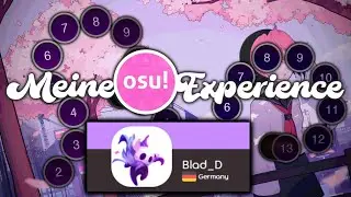 Meine osu! Experience