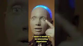 You Won't Believe What This Robot Just Said...