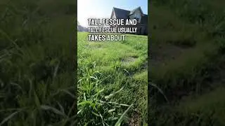Replying to @Pedro Falco | Tiktok: @PharmDad | MowerLiving.com