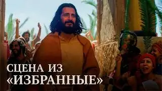 Jesus' Triumphal Entry into Jerusalem (Matthew 21)