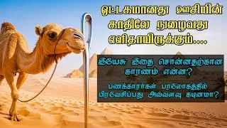 It is easier for a camel to go through the eye of a needle.... Tamil Bible study.
