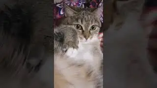 Ты долго ещё спать собираешься? 