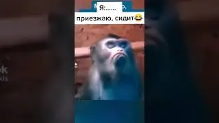 «Соскучилась» 