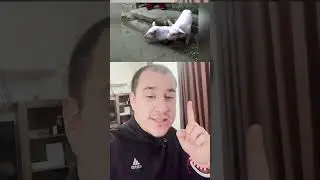 Животните мутират? 