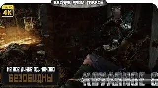 Escape from Tarkov - Не все Дикие одинаково безобидны
