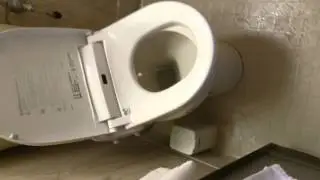 Japanese toilets