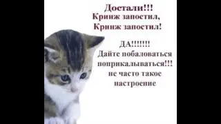 [Аллоды Онлайн] чучут 6х6
