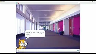 Scratch Coding Project Demo || IF THEN ELSE conditional code block || Input Output Code blocks