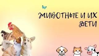 Домашние животные и их дети. Обучающее видео с голосами животных