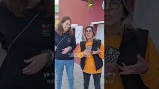 Las profes de 2 escuelas infantiles nos cuentan su experiencia en VIALDEA 🛵🚂🌞