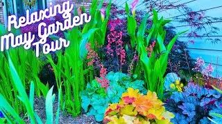 Relaxing May 2024 Spring Garden Tour | With Plant Names