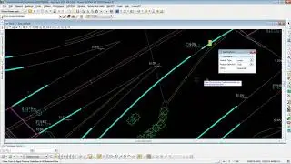 Modify Survey Data Features