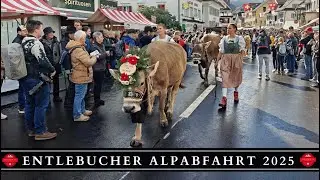 Entlebucher Alpabfahrt, Schüpfheim 2025