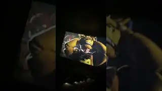 FNAF Movie Springlock Scene - Crowd Reaction 🇦🇺