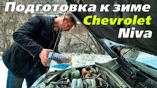 Уплотнительные резинки, дворники, подключения котла 220V замена датчик детонации Chevrolet NIVA