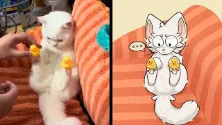 Try Not To Laugh 🤣 New Funny Cats Video and Art 2024 😼