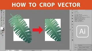 How to Crop Vector - Super Magic Eraser script testing on intricate file