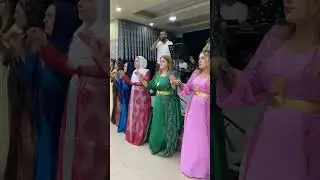 Kava Şirvan Se pê Halay gowend Ho Mam mıhemed