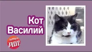 кот Василий