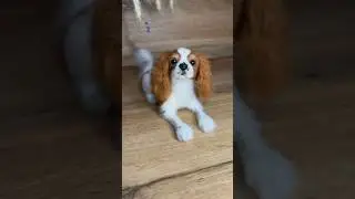 Фигурка по фото 