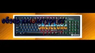 Обзор клавиатури Real-El 7000 Comfort Backlit Black от Skeleton