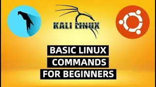 basic linux commands for beginners