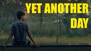 Yet Another Day | Shot on Samsung S23 FE