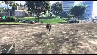 Thug Rat Grand Theft Auto 5