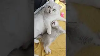 Hug me always! Without music! 