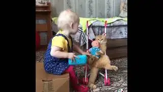 Терпеливый кот 😅😅😅