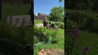 Будни сетевика #колесникованаталья #фаберлик #прикол