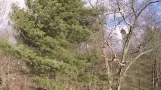 Steady Video in 35MPH Wind Gusts