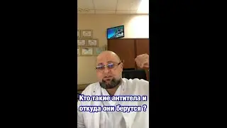 Антитела. Что это и откуда?
