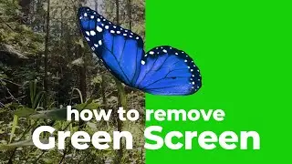 How to REMOVE GREEN SCREEN in After Effects (tutorial)