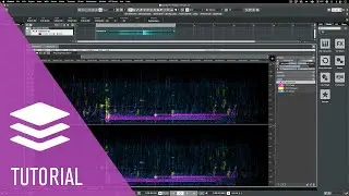 Layer Generating Processes with Unmix Components | SpectraLayers 10 Tutorials