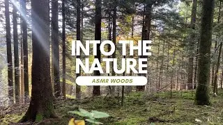 Into the Nature (Asmr Nature Sounds) Forest