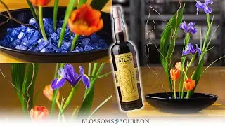 Iris and Tulip Ikebana design | Episode 55 of Blossoms and Bourbon
