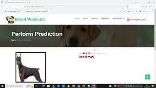 Dog Breed Prediction Project | Deep Learning | Python Django | Sqlite