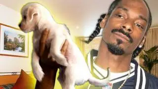 ♫ Live on the Internet Song - Rhett & Link (feat. Snoop Dogg)