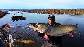 Fishing in a Four day Musky Competition