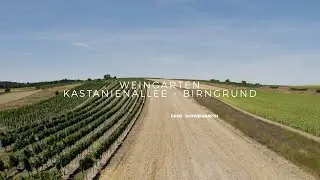 Video4everyone | Groß Schweinbarth Weingarten