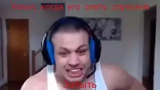 Расы Би Лайк: