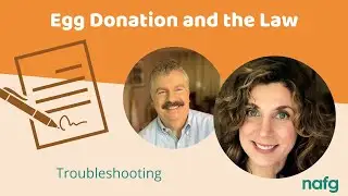 Egg Donation and the Law: Troubleshooting | Northeast Assisted Fertility Group