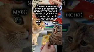 Мужское достоинство. А ваш мужчина к каким качествам ближе? 95 Серия. ПОДПИШИСЬ 